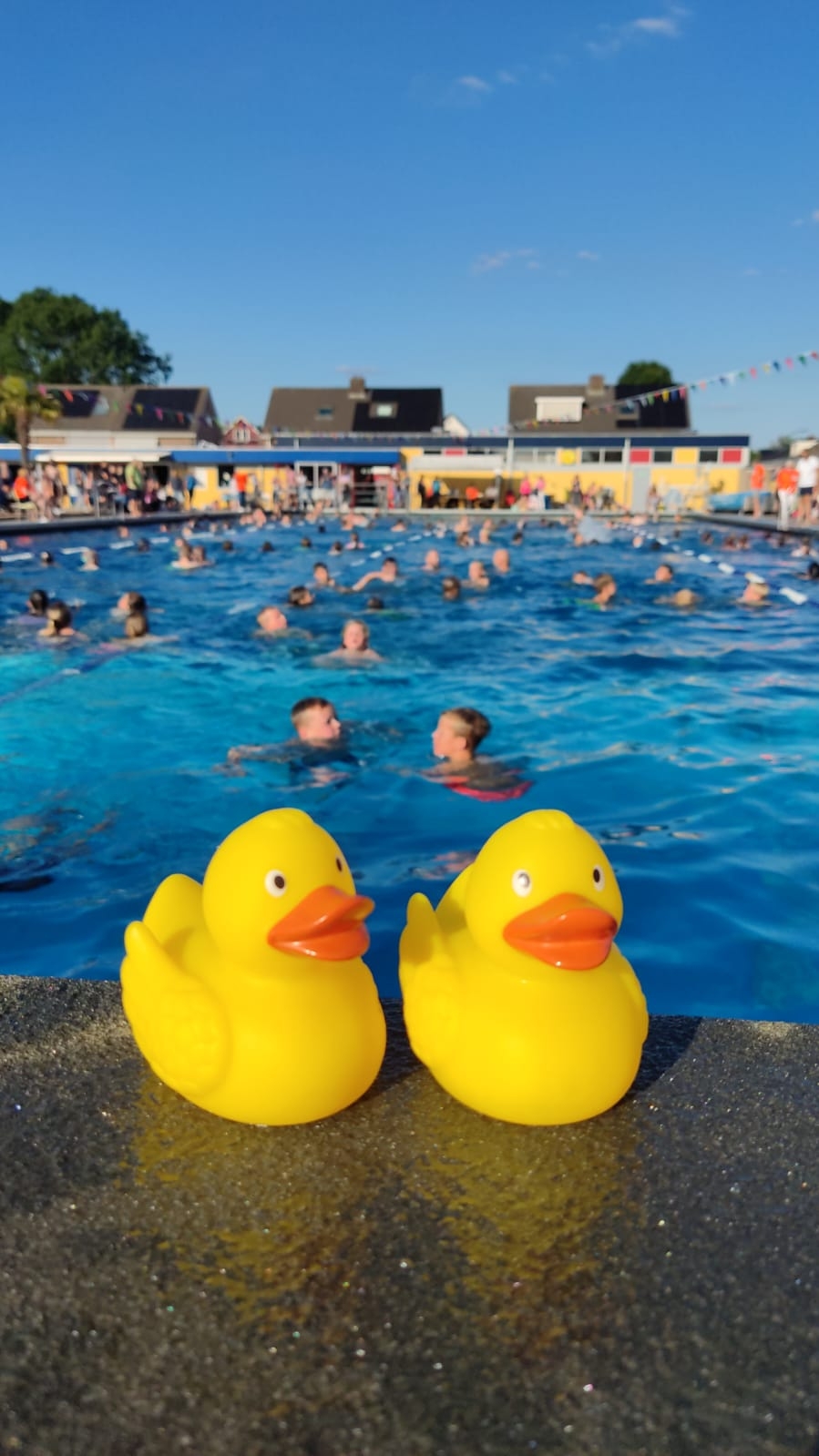 zwem4daagse met badeend.jpg
