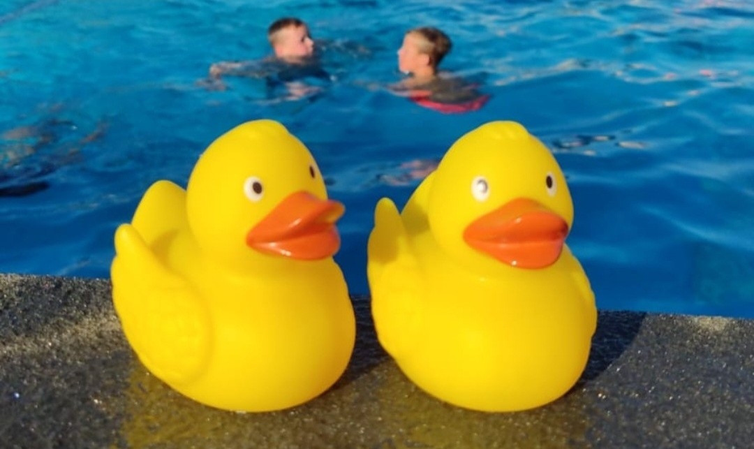 2 eendjes zwem4daagse.jpg